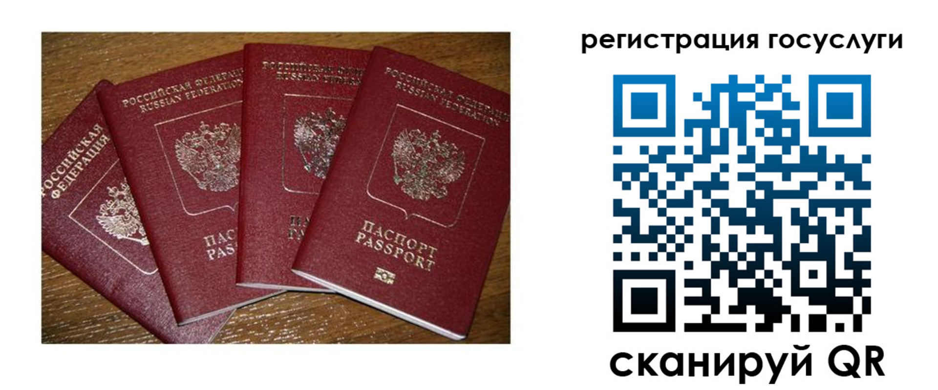 временная регистрация гарантия в Карабаново